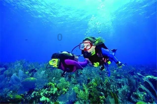厦门海洋碳汇交易走在全国前列