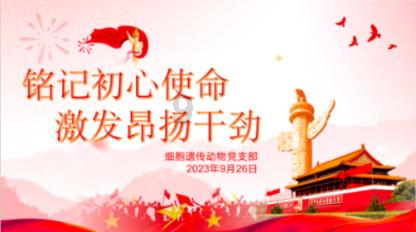 动物滑动拼图